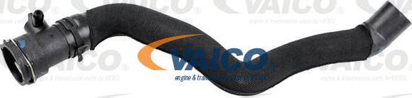 VAICO V10-5532 - Radiator şlanqı www.furqanavto.az