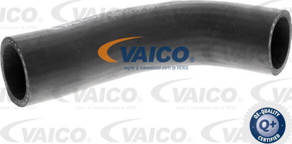 VAICO V30-0737 - Radiator şlanqı www.furqanavto.az