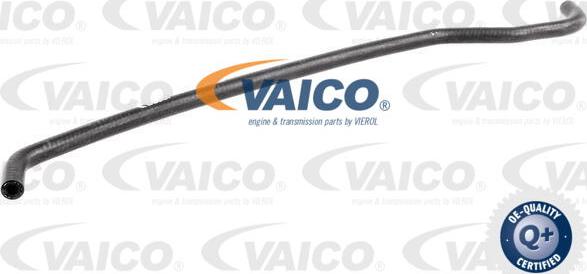 VAICO V20-1779 - Radiator şlanqı www.furqanavto.az