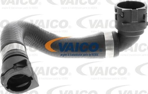 VAICO V20-3873 - Radiator şlanqı www.furqanavto.az